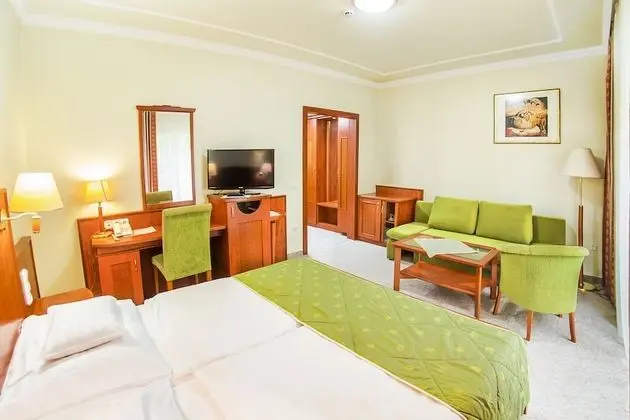 Superior Double room - New Building without balcony