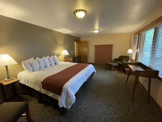 Oda, Birden Çok Yatak (Double, Not pet friendly)