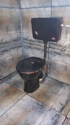 Süit