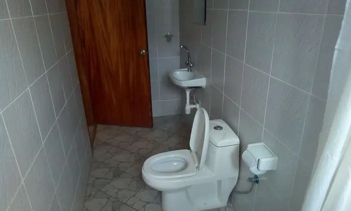 Süit