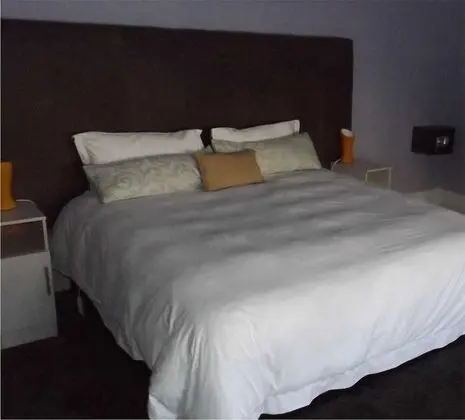 Deluxe Tek Büyük Yataklı Oda, 1 En Büyük (King) Boy Yatak (Deluxe King Room (Shower))