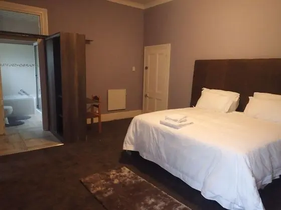 Deluxe Tek Büyük Yataklı Oda, 1 En Büyük (King) Boy Yatak (Deluxe King Room (Shower))