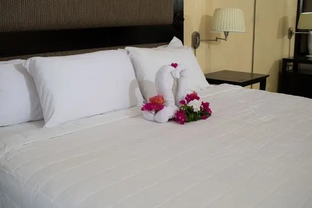 Comfort Stüdyo Süit, 1 En Büyük (King) Boy Yatak