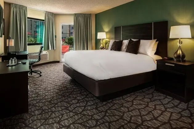 Deluxe Patio Room