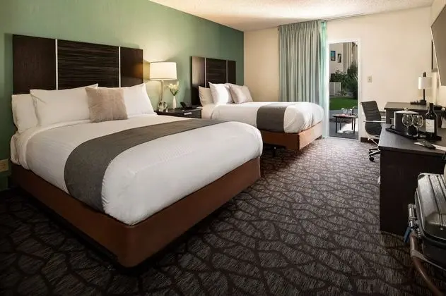 Deluxe Patio Room