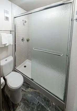 Deluxe Patio Room