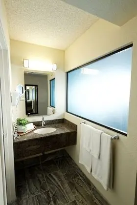 Deluxe Patio Room