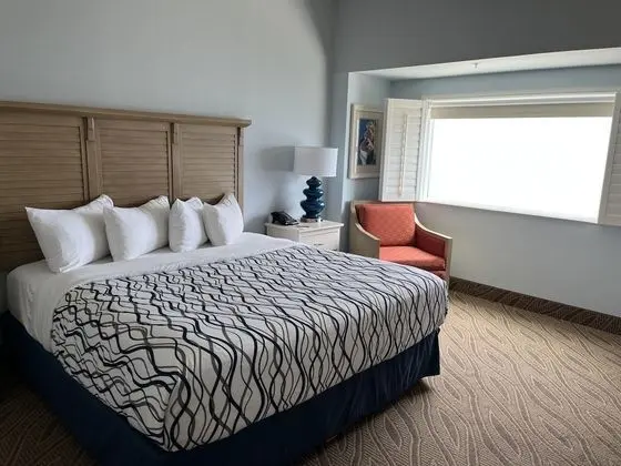 Premium Oda, 1 En Büyük (King) Boy Yatak, Sigara İçilebilir