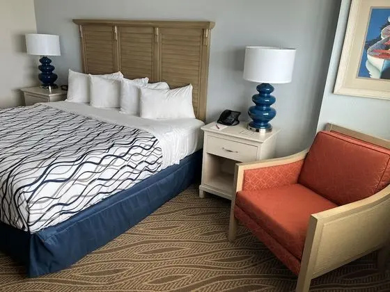 Premium Oda, 1 En Büyük (King) Boy Yatak, Sigara İçilmez