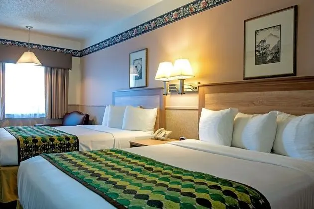 Deluxe Oda, 2 Büyük (Queen) Boy Yatak