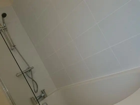 Classic Süit, Banyolu/Duşlu (Room 1)