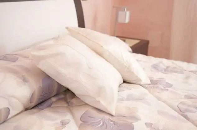 Deluxe Stüdyo Süit