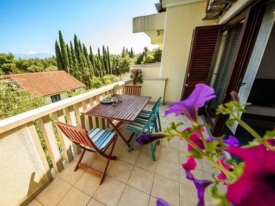 Ev
