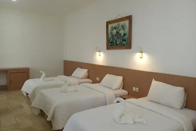 Family Tek Büyük Yataklı Oda, Şehir Manzaralı