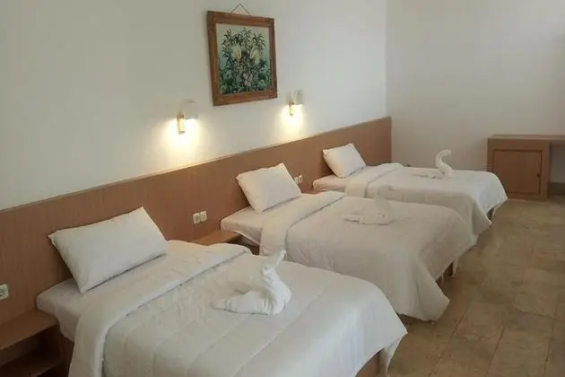 Family Tek Büyük Yataklı Oda, Şehir Manzaralı