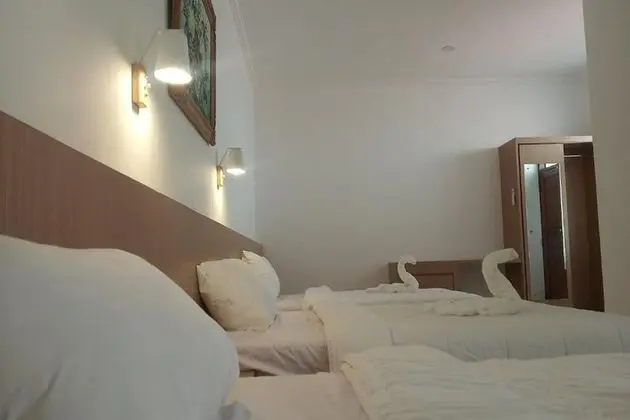 Family Tek Büyük Yataklı Oda, Şehir Manzaralı