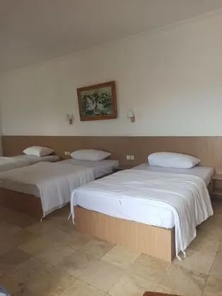 Family Tek Büyük Yataklı Oda, Şehir Manzaralı