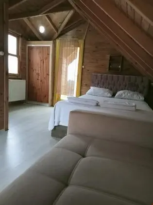 Çatı Katı Oda