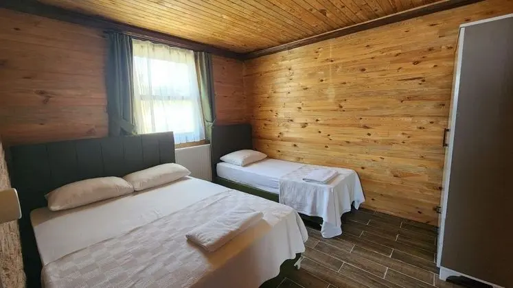 Dağ Evi