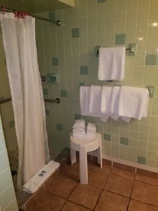 Suite 6