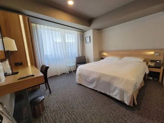 Standard Oda, 1 Çift Kişilik Yatak (Easy Plus Double)