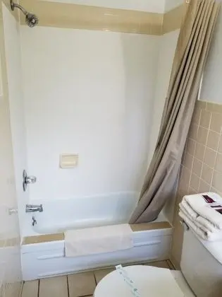 Standard Tek Büyük Yataklı Oda, 2 Çift Kişilik Yatak