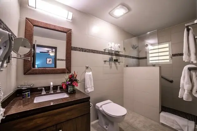 Deluxe Suite, 1 Bedroom, Fully Equipped Kitchen