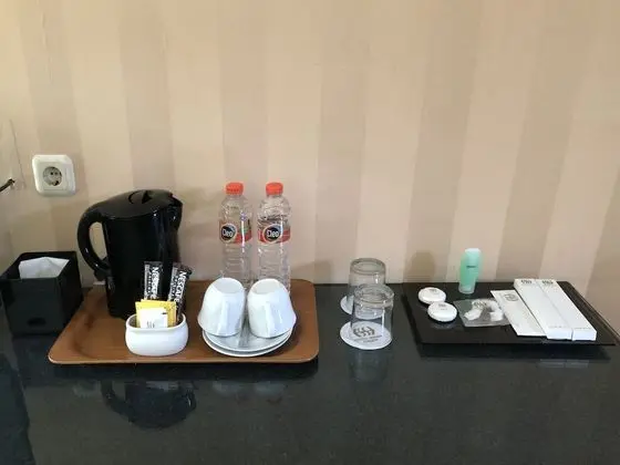 Superior Tek Büyük Yataklı Oda