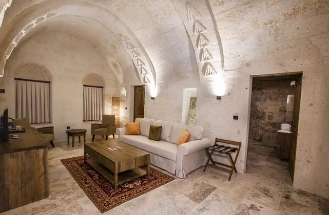 Premium Suite, Manzarasız, Balkonlu