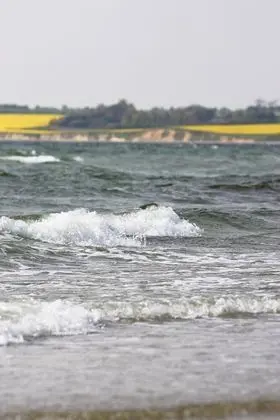 Comfort Tek Büyük Yataklı Oda, Bahçe Manzaralı