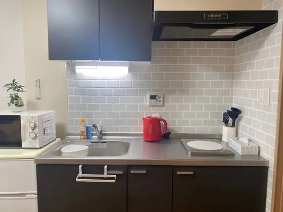 Standard Apart Daire, 1 Yatak Odası, Sigara İçilmez
