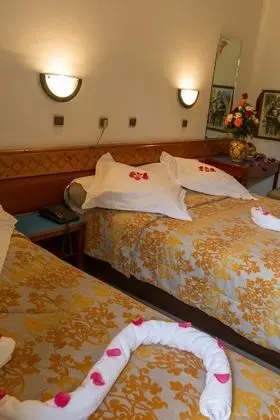 Tek Büyük Yataklı Oda, Bahçe Manzaralı