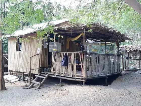 Traditional Ağaç Ev