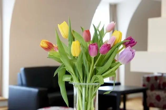 Exclusive Çatı Katı Süiti (Penthouse), 2 Yatak Odası, Şehir Manzaralı