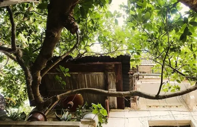 Deluxe Oda, Balkon, Şehir Manzaralı