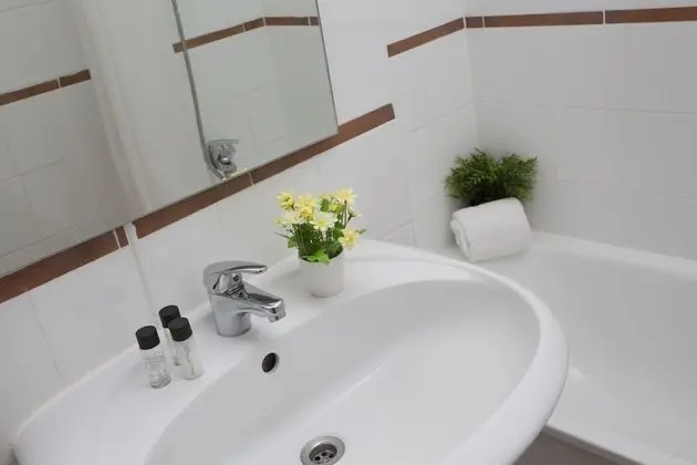 Apart Daire, 1 Yatak Odası (102)