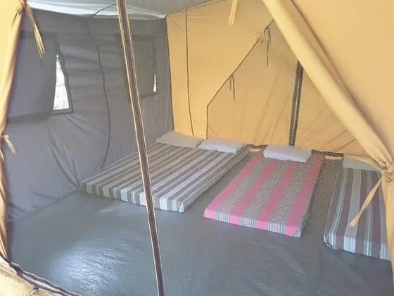 Basic Çadır, 6 Yatak Odası, Nehir Manzaralı
