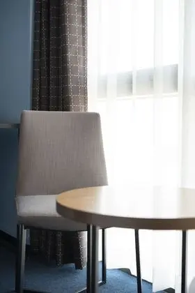 Premium Tek Büyük Yataklı Oda, 1 En Büyük (King) Boy Yatak, Özel Banyo