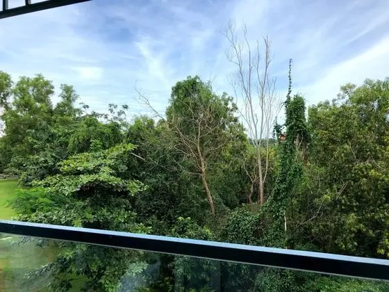 Odadan manzara