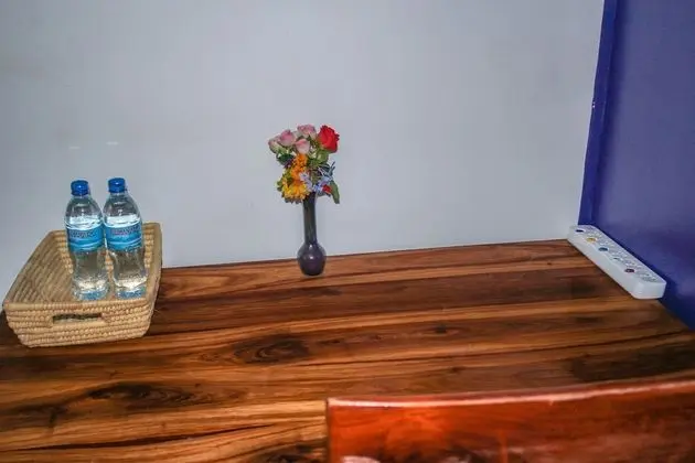 Deluxe İki Ayrı Yataklı Oda, Bahçe Manzaralı