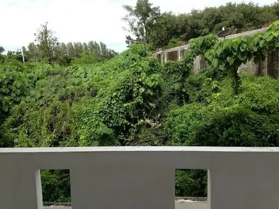Süit, 1 Yatak Odası