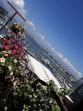 Oda, 1 Yatak Odası, Balkon
