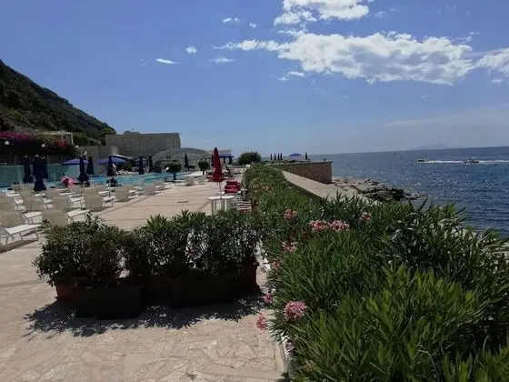 Oda, 1 Yatak Odası, Balkon