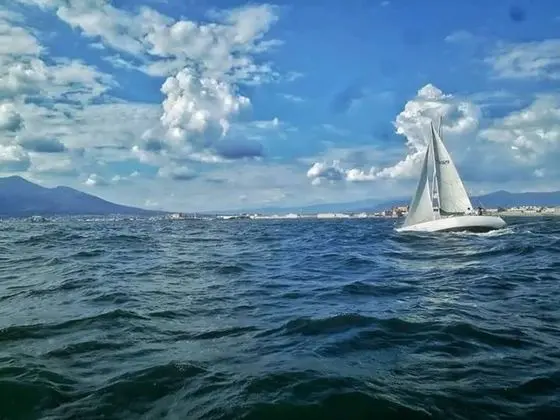 Oda, 1 Yatak Odası, Balkon