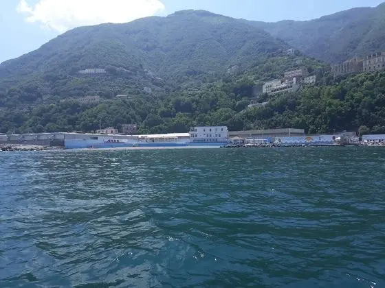 Oda, 1 Yatak Odası, Balkon