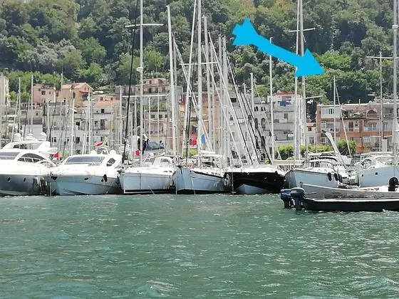 Oda, 1 Yatak Odası, Balkon
