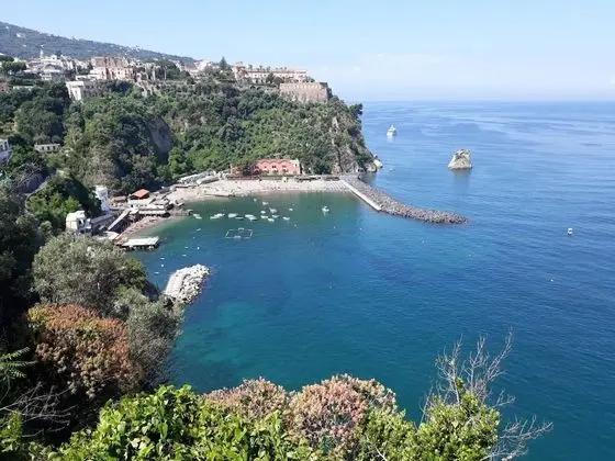 Oda, 1 Yatak Odası, Balkon