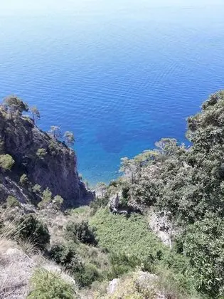 Oda, 1 Yatak Odası, Balkon