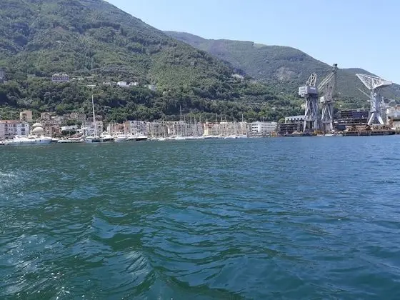 Oda, 1 Yatak Odası, Balkon