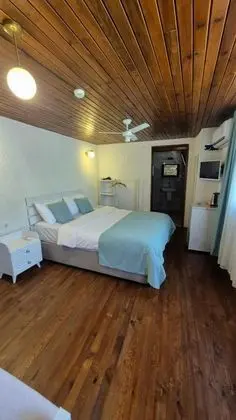 Executive Oda, Bahçe Manzaralı
